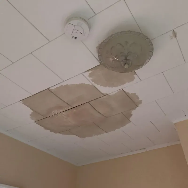 Ceiling Water Damage Repair in Eufaula, OK