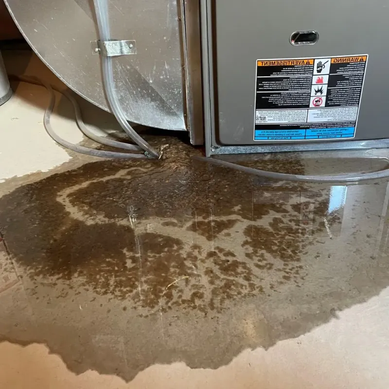 Pipe Burst and Leak Restoration in Eufaula, OK